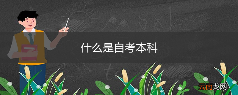 什么是自考本科