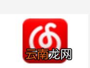 网易云音乐进行升级具体操作
