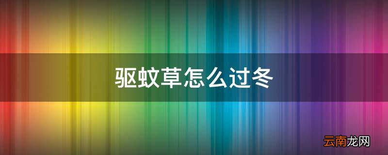 驱蚊草怎么过冬