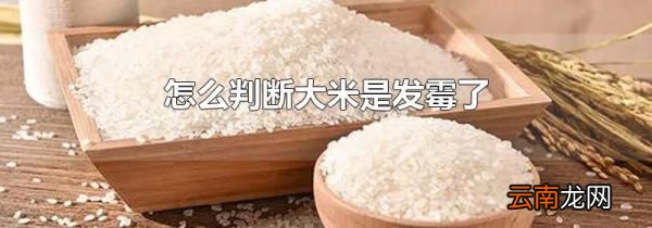 怎么判断大米是发霉了