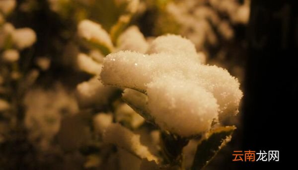 古诗夜雪带拼音版朗读 古诗夜雪带拼音版