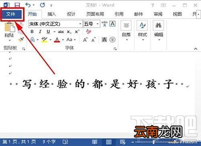 office2013去除文档空格处的点方法