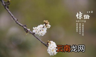 二十四节气风俗谚语 二十四节气风俗谚语是什么