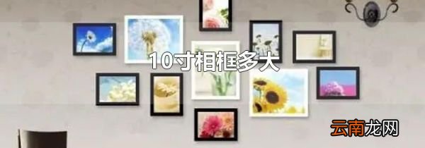 10寸相框多大
