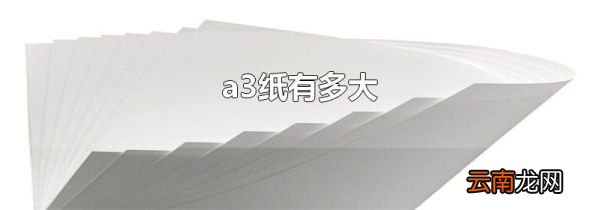a3纸有多大