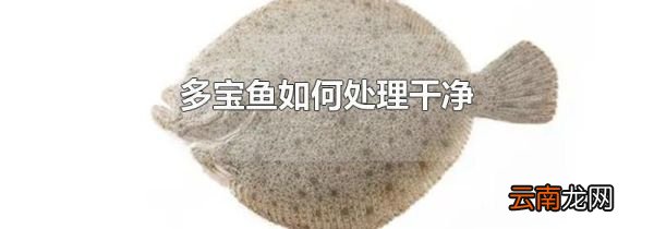 多宝鱼如何处理干净
