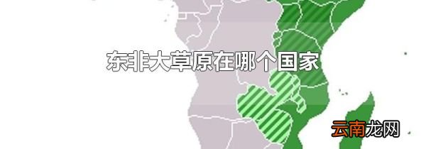 东非大草原在哪个国家