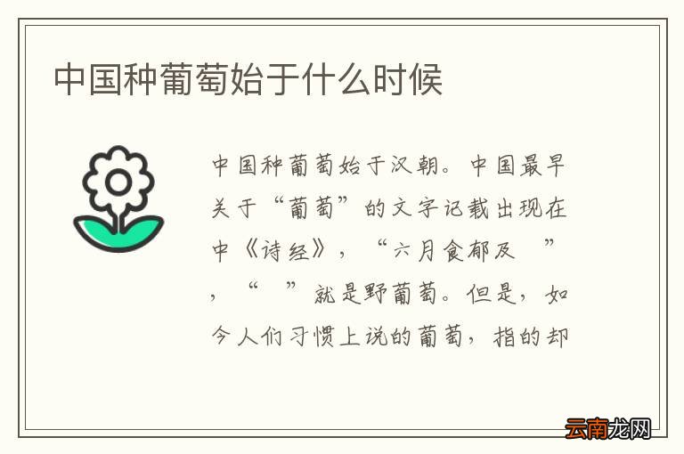 中国种葡萄始于什么时候