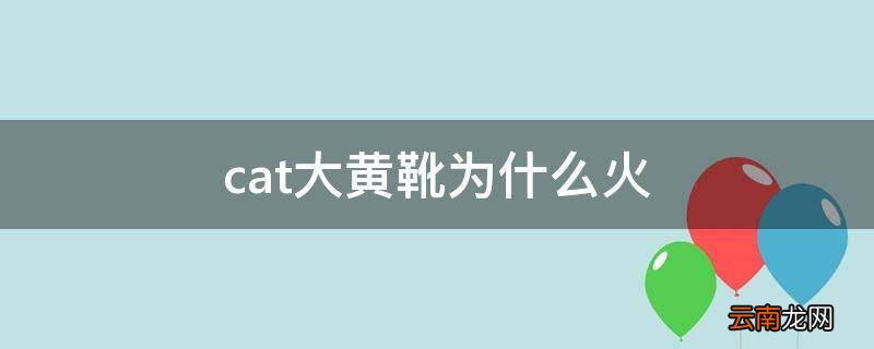 cat大黄靴为什么火