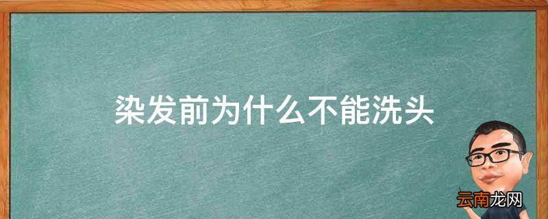 染发前为什么不能洗头