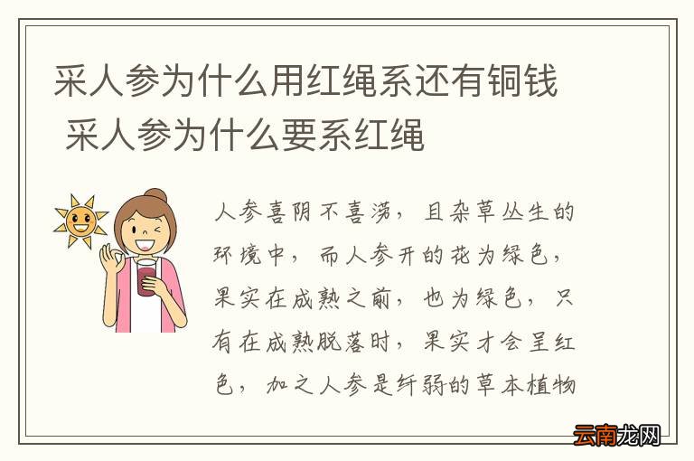 采人参为什么用红绳系还有铜钱 采人参为什么要系红绳