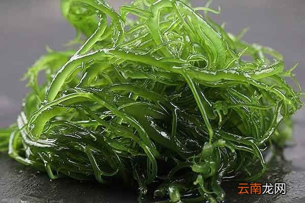 龙须菜的功效与作用 龙须菜禁忌人群