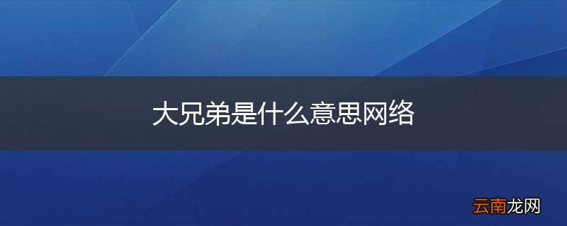 大兄弟是什么意思网络