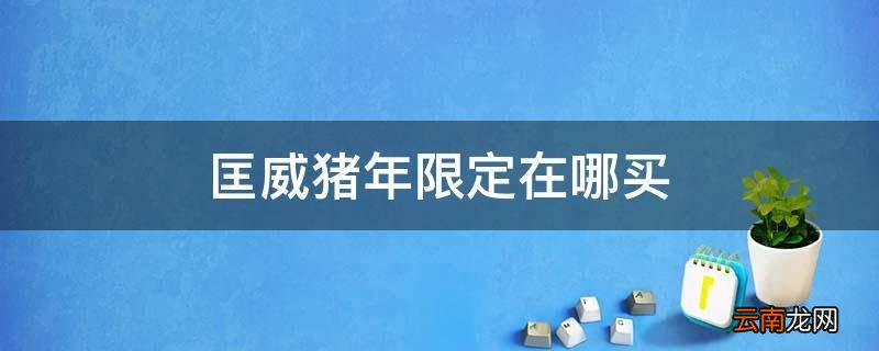 匡威猪年限定在哪买