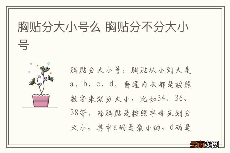 胸贴分大小号么 胸贴分不分大小号