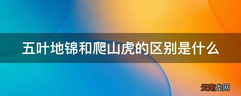 五叶地锦和爬山虎的区别是什么