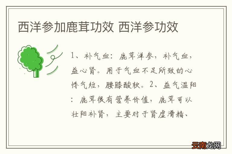 西洋参加鹿茸功效 西洋参功效