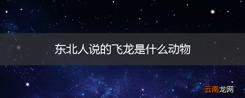 东北人说的飞龙是什么动物