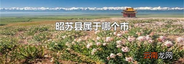 昭苏县属于哪个市