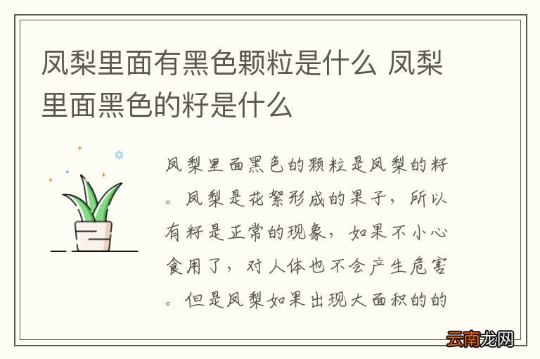 凤梨里面有黑色颗粒是什么 凤梨里面黑色的籽是什么