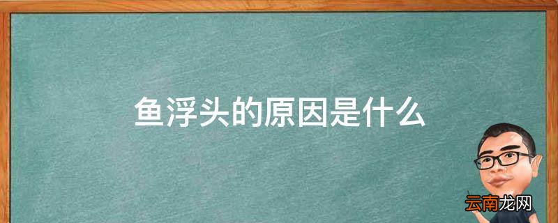 鱼浮头的原因是什么