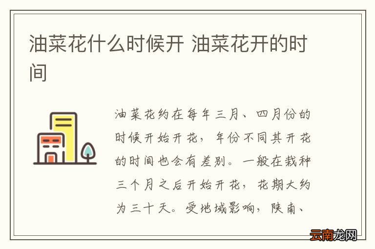 油菜花什么时候开 油菜花开的时间