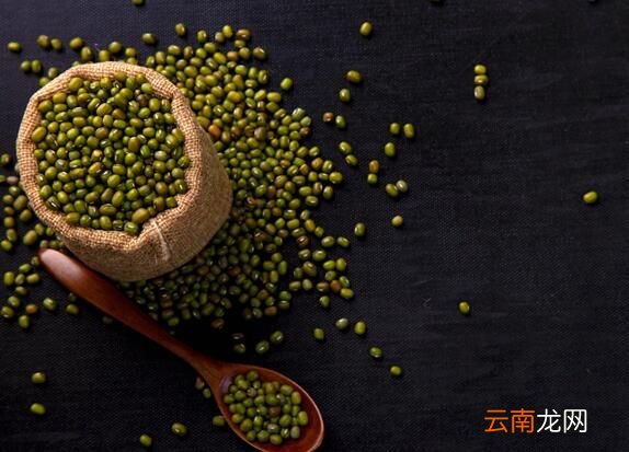 绿豆长虫了还能吃吗 绿豆长虫了怎么处理