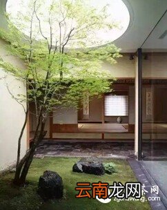 简静：一个人，去盛享生命的清幽！