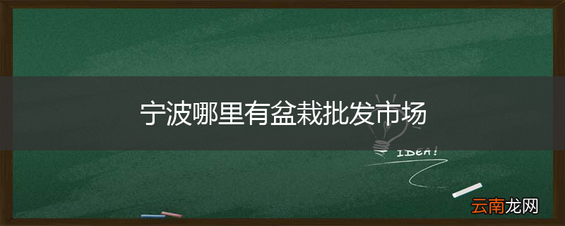 宁波哪里有盆栽批发市场