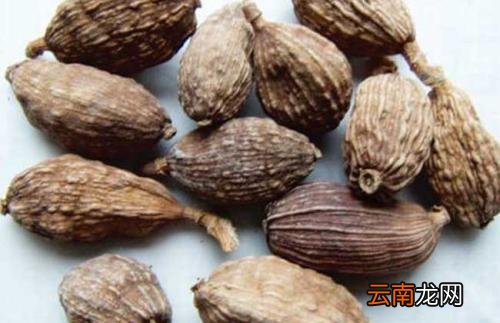 草果功效强 帮你挑选优质草果