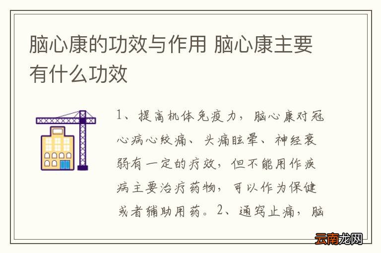 脑心康的功效与作用 脑心康主要有什么功效