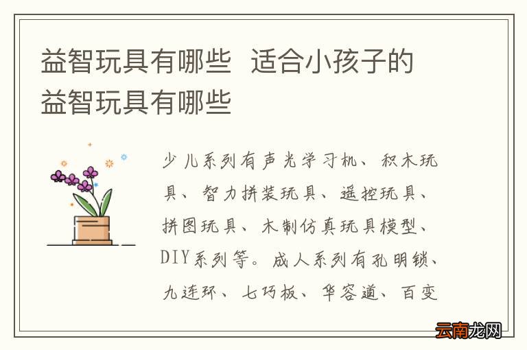益智玩具有哪些适合小孩子的益智玩具有哪些