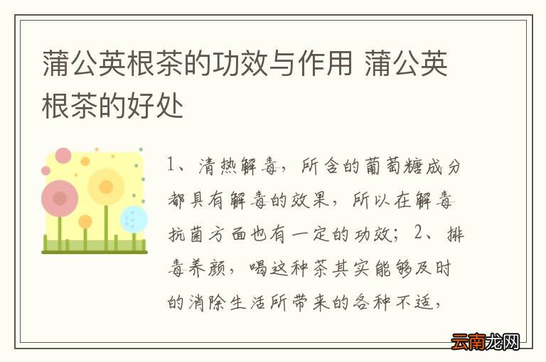 蒲公英根茶的功效与作用 蒲公英根茶的好处