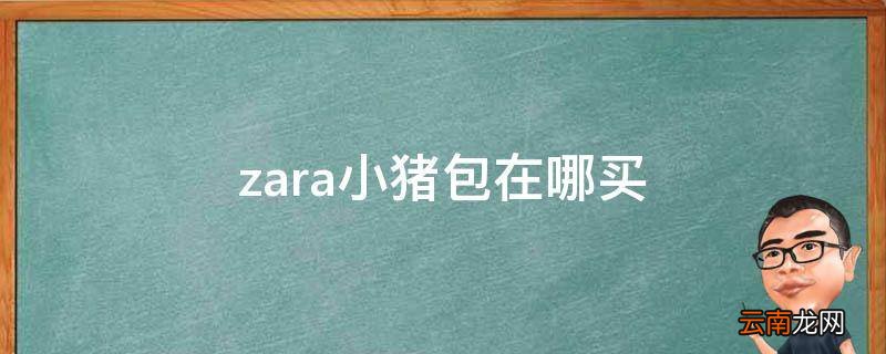 zara小猪包在哪买