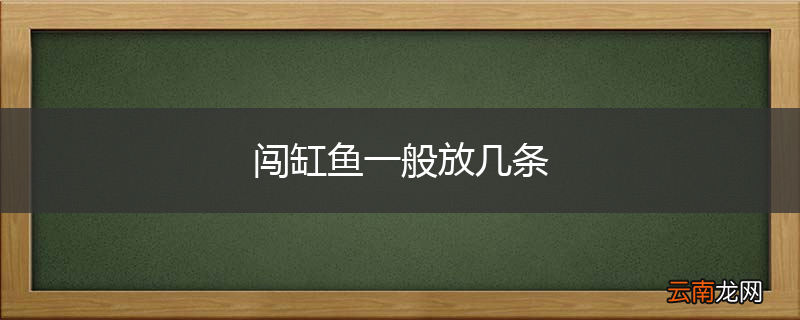 闯缸鱼一般放几条