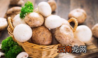 炸蘑菇做法 炸蘑菇的制作方法