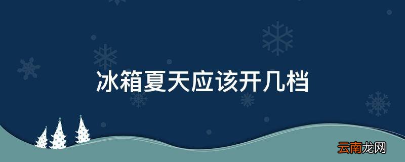 冰箱夏天应该开几档