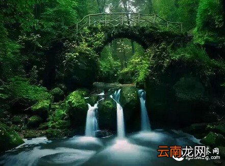 放下，即拥有!