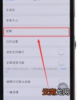 钉钉设置密聊操作流程