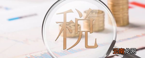 个人所得税是什么意思 个人所得税意思是什么