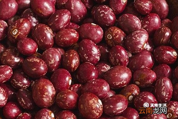 金丝豆的功效与作用 金丝豆的功效与作用是什么