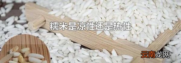 糯米是凉性还是热性