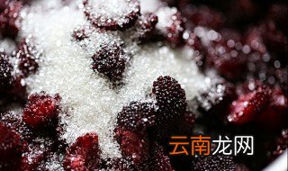 杨梅做法 最美味的杨梅小吃做法三则分享