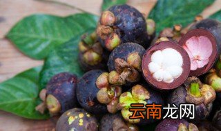 市民应如何挑选山竹 山竹挑选技巧