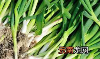 炒蒜苔炒蛋的做法 怎样做炒蒜苔炒蛋好吃