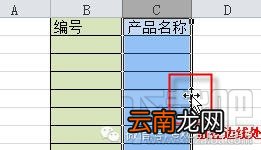 使用频率高到的4个excel小技巧
