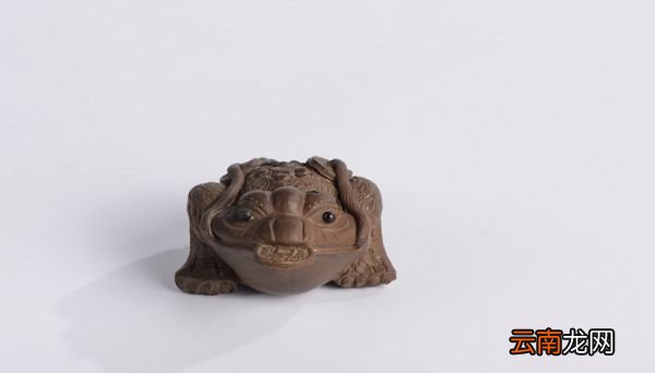 金蟾的寓意 金蟾象征着什么