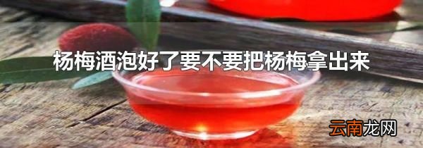杨梅酒泡好了要不要把杨梅拿出来