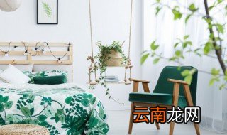 茶叶花可以放在卧室吗 茶花可以放在卧室吗?