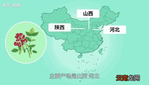 花椒的产地 花椒产地主要在哪个省